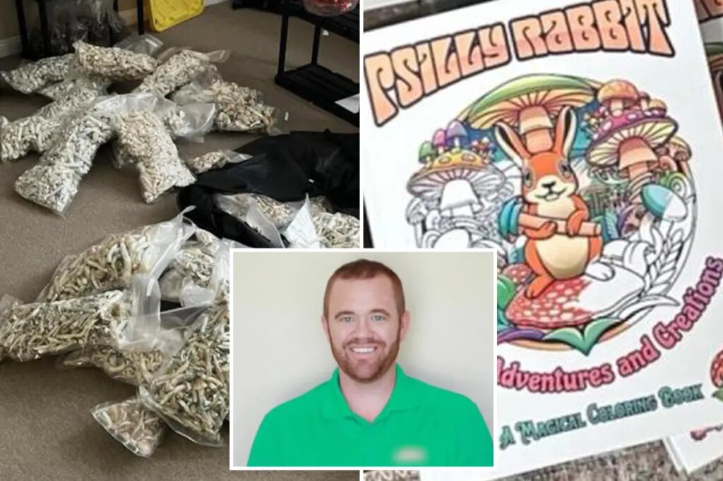 San Diego man pleads guilty to dosing his kids with ‘magic mushrooms’