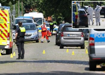 At least five people killed in shooting at German youth welfare facility