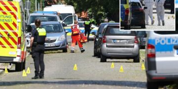 At least five people killed in shooting at German youth welfare facility