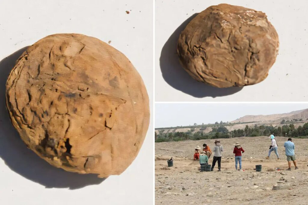Archaeologists uncover freeze-dried potatoes older than the US in ‘excellent’ condition