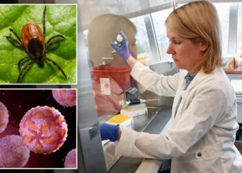 Rare tick-borne virus turns deadly fast as US cases reach record high, experts warn