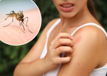 Scratching that bug bite might feel good at first but science says it’s a bad idea