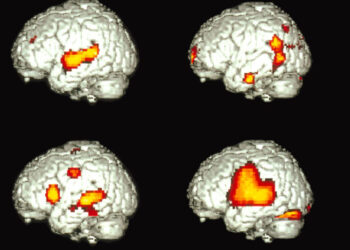 How Does One Brain Speak Two Languages?