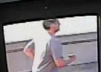 Man Suspected of Shoving London Woman Into Path of a Bus Is Arrested