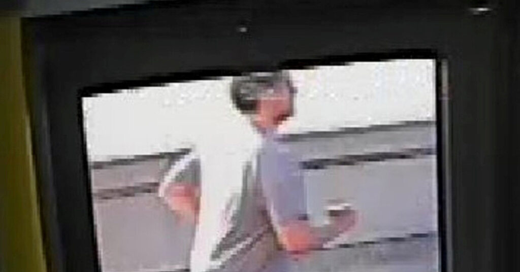 Man Suspected of Shoving London Woman Into Path of a Bus Is Arrested