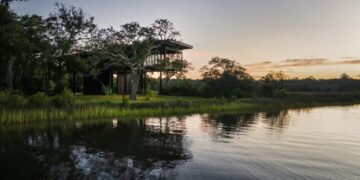 One Climate Change Innovation: Just Look Up