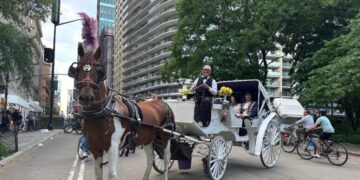 Carriage Horse in Central Park Died After Eating a Poisonous Plant