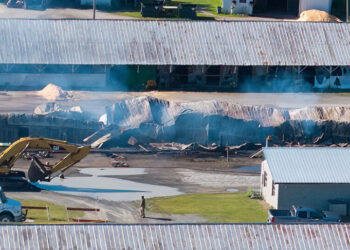 Barn Fire Kills 17 Horses at Harness Track in Saratoga Springs, N.Y.
