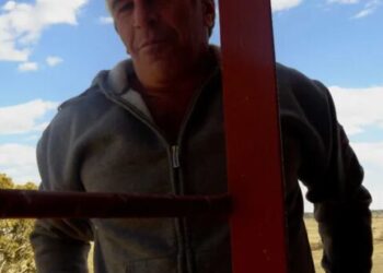 New Mexico ‘elites’ hammered for continued ‘protection’ of Epstein-linked prosecutor