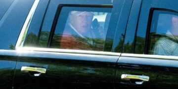 ​Trump ‘obviously spiraling’ after ‘something shifted’ in his presidency: ex-official