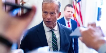 Trump’s ‘public knifing’ of GOP Senate leader spurred by swipe on Fox News: report