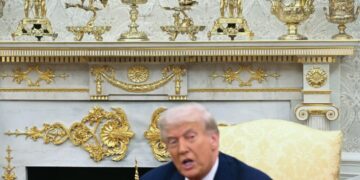 Donald Trump’s Superficiality Is Bone Deep