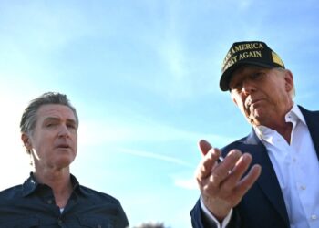 Trump Accuses California Democrats of ‘Cheating’ Over Pace of Vote Counts