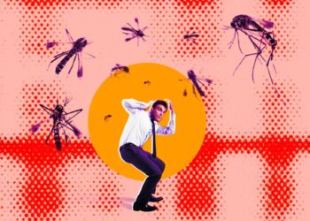 People Are Not Happy About Google’s Plan to Release Millions of Bioengineered Mosquitoes Into the Wild
