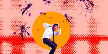 People Are Not Happy About Google’s Plan to Release Millions of Bioengineered Mosquitoes Into the Wild
