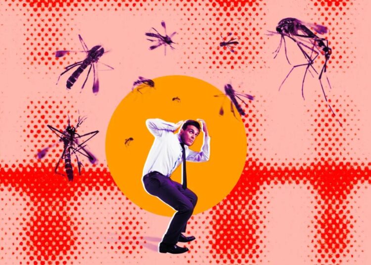 People Are Not Happy About Google’s Plan to Release Millions of Bioengineered Mosquitoes Into the Wild