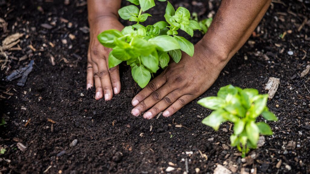 Does The Future of Climate Resilience Lie Beneath Our Feet?