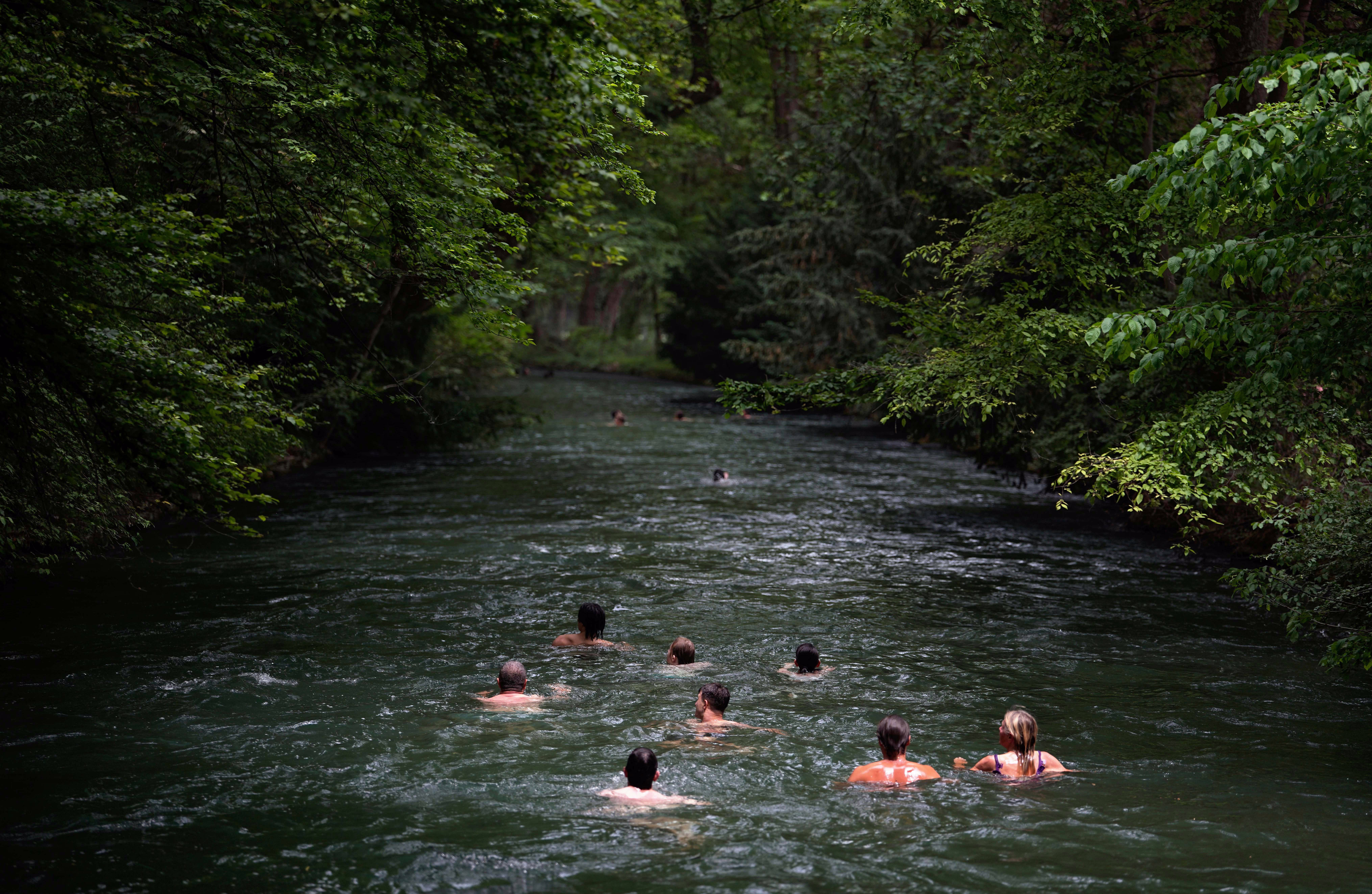 A small group of people swim and float down a gentle river through a forest.