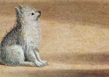 What I Learned From My Dog