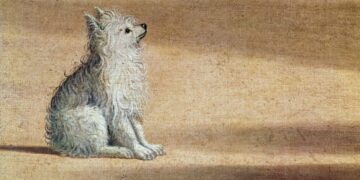 What I Learned From My Dog