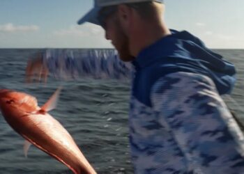 DeSantis promised anglers a ‘God-given right to fish.’ It ran into a 25% kill rate and a Washington injunction