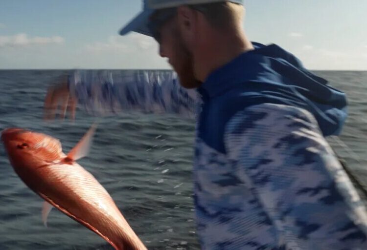 DeSantis promised anglers a ‘God-given right to fish.’ It ran into a 25% kill rate and a Washington injunction