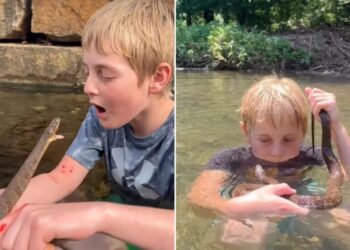 ‘Little Steve Irwin’ snatches up snakes, purposely gets bitten for fun