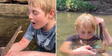 ‘Little Steve Irwin’ snatches up snakes, purposely gets bitten for fun