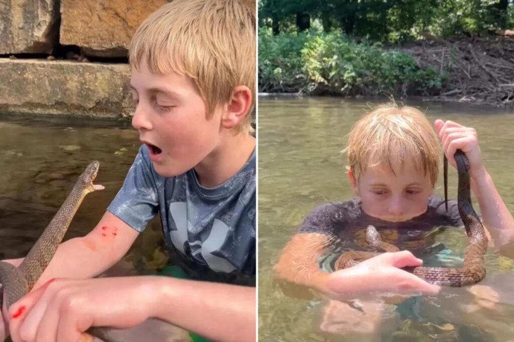 ‘Little Steve Irwin’ snatches up snakes, purposely gets bitten for fun