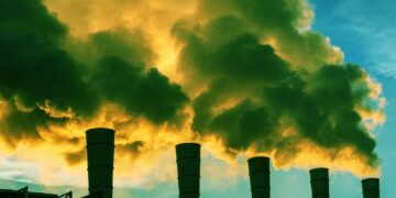 Remember How Sucking Carbon Out of the Air Was Going to Save the Planet? We Have Terrible News