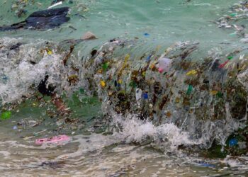 The Ocean’s Health Is Deteriorating on Multiple Fronts, U.N. Scientists Warn