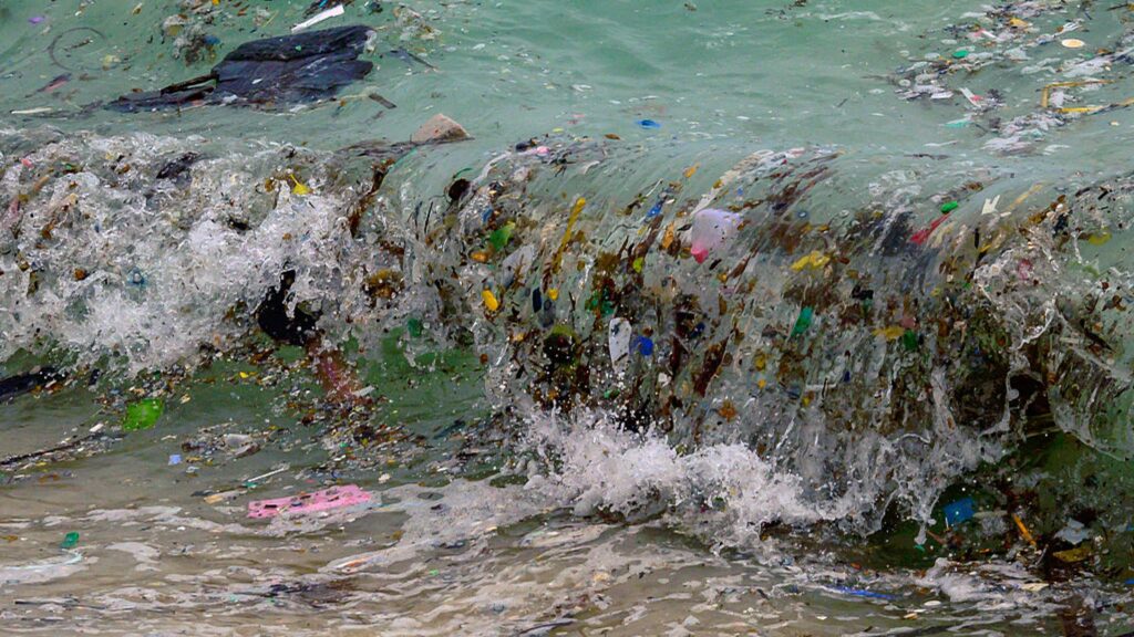 The Ocean’s Health Is Deteriorating on Multiple Fronts, U.N. Scientists Warn