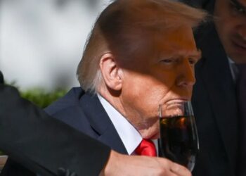 A Biden-era study told Americans to drink less alcohol. The Trump admin ‘sidelined’ the research facing pressure from the alcohol lobby