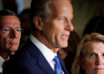 ‘I hear a sound coming’: Ex-Trump official predicts impending GOP mutiny against president