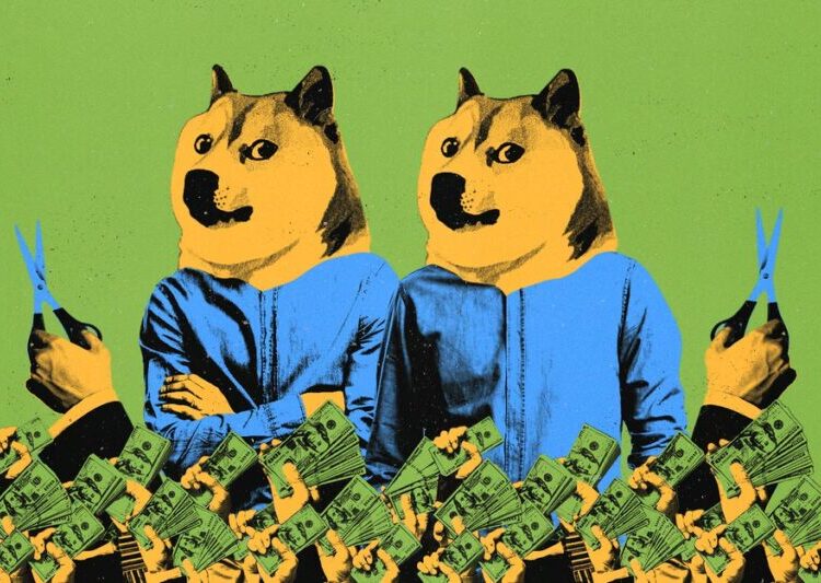 The DOGE Bros Want Another Shot