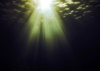 Scientists Have Detected Something Deeply Alarming at the Bottom of the Ocean