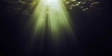Scientists Have Detected Something Deeply Alarming at the Bottom of the Ocean