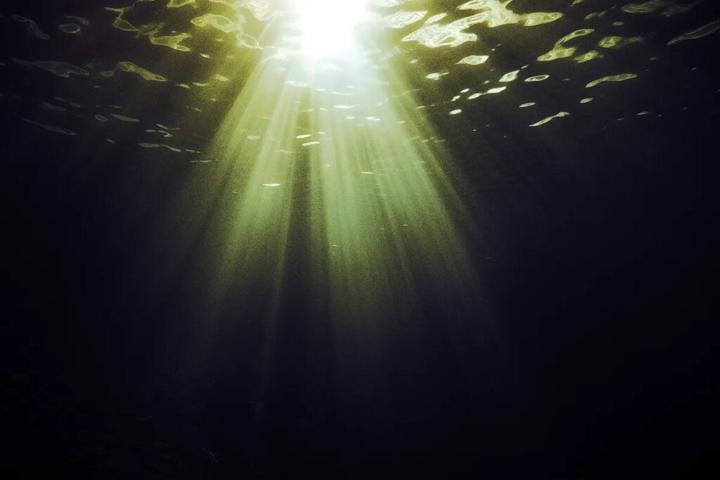 Scientists Have Detected Something Deeply Alarming at the Bottom of the Ocean