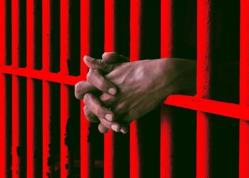 Innocent Man Freed After Spending Over 50 Days in Jail Due to Horribly Inaccurate AI Facial Recognition Tech