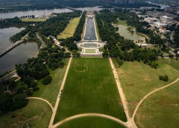 What to Know About the Giant ’86 47′ That Appeared on National Mall Grass