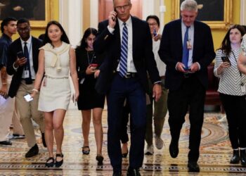 ‘Chaos’ splinters GOP as president changes plan at ‘worst possible time’: report