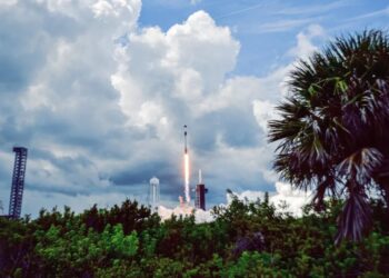Eighty Residents Sue SpaceX, Saying Elon Musk’s Constant Rocket Launches Are Literally Destroying Their Homes
