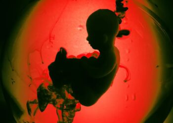 Scientists Concerned Latest Gene Editing of Human Embryos Could “Open the Floodgates”
