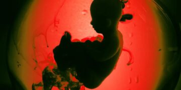 Scientists Concerned Latest Gene Editing of Human Embryos Could “Open the Floodgates”