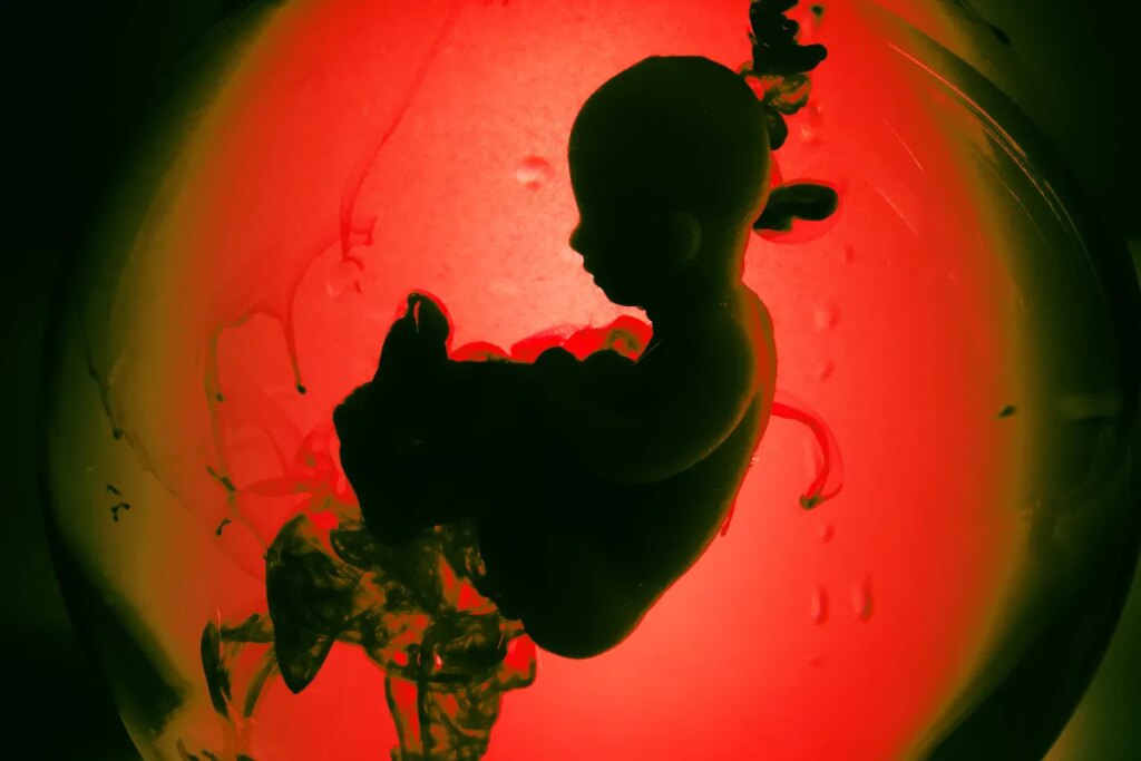 Scientists Concerned Latest Gene Editing of Human Embryos Could “Open the Floodgates”