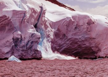 Scientists Horrified as Huge Heatwave Hits Antarctica