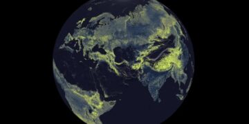 Earth’s Underground Fungus Network Is So Gigantic That If You Stretched It Out, It Would Reach to Other Star Systems