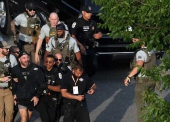 MAGA rages as UFC champ booted from White House event: ‘This is how you lose young voters’