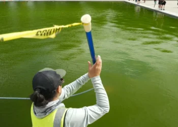 People react to workers pouring peroxide into the now bright green Reflecting Pool