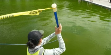 People react to workers pouring peroxide into the now bright green Reflecting Pool